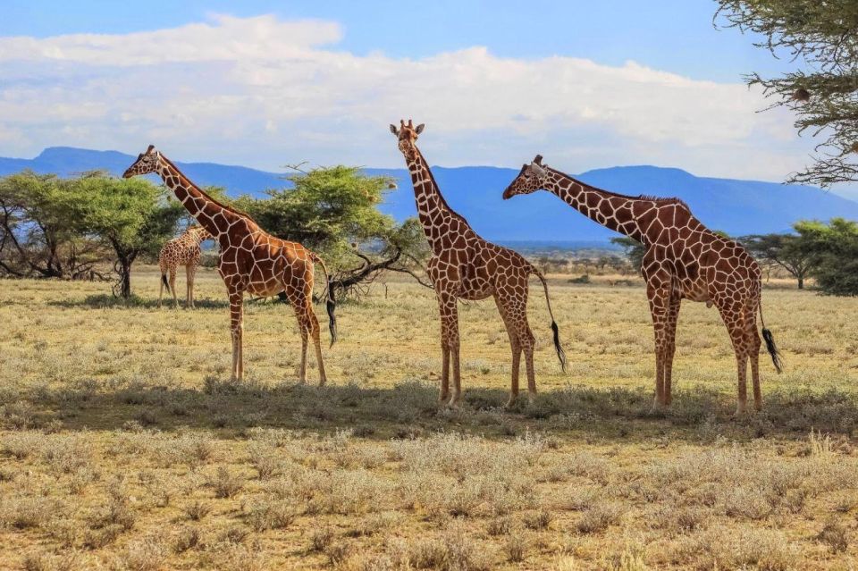 Isimangaliso Wetlands P & Boat Cr Full Day Tour From Durban - Just The Basics