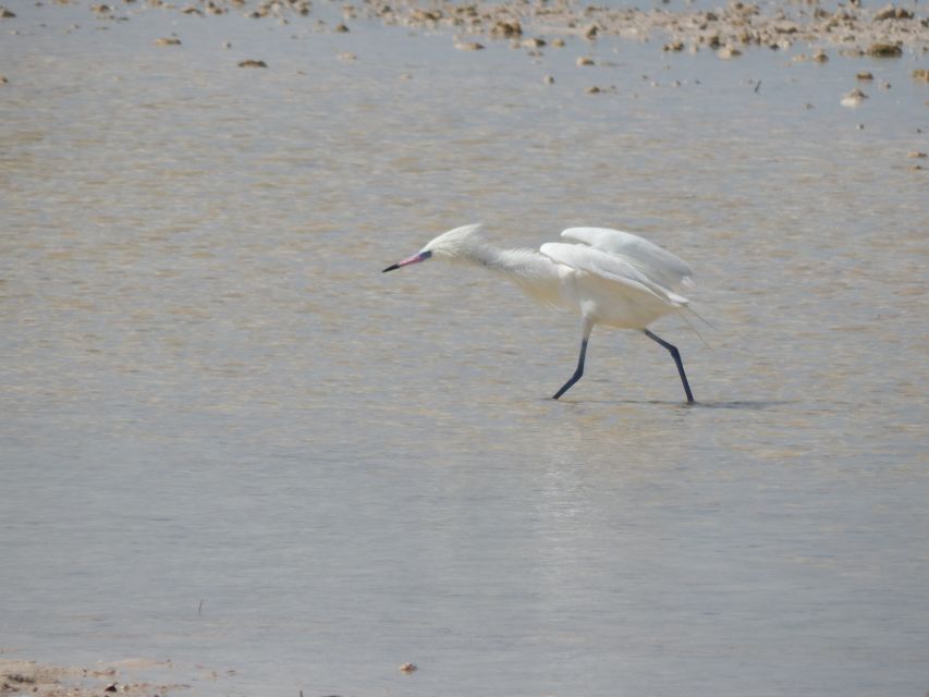 Isla Blanca: 4-Hour Private Expedition Bike & Boat Tour - Booking Details