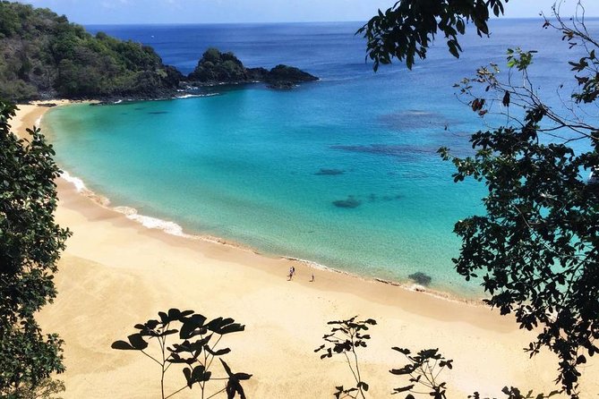 Island Tour in Fernando De Noronha - Itinerary Overview