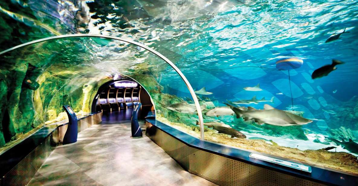 Istanbul Aquarium and Aqua Florya Shopping Mall Tour - Key Points