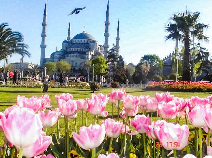 Istanbul: Blue Mosque & Hagia Sophia Guided Tour W/ Tickets - Key Points