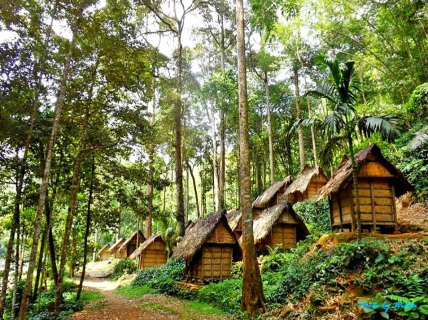 Jakarta : Private Tour Baduy Primitive Village - Key Points