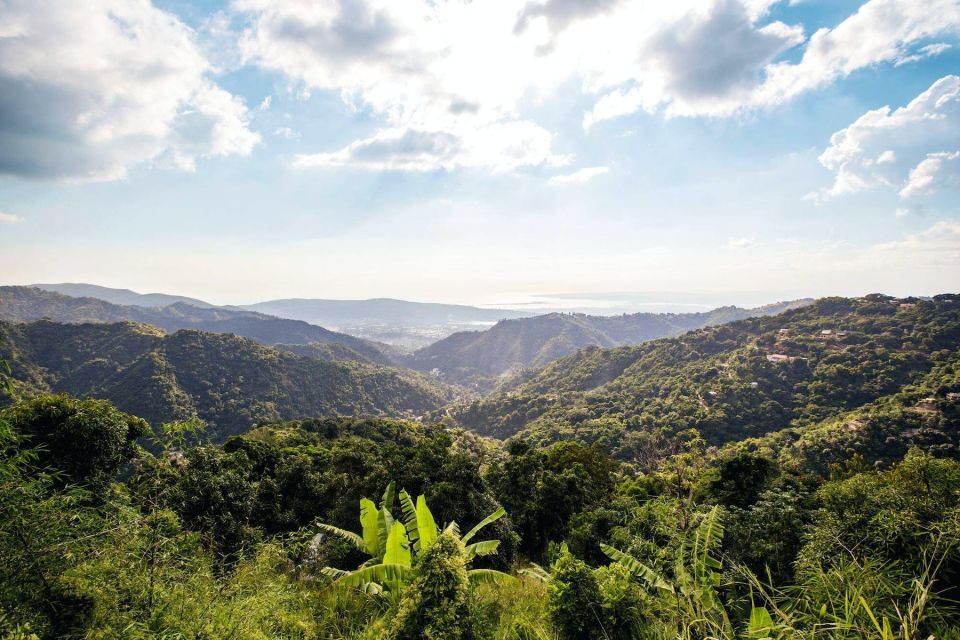 Jamaica: Blue Mountains Full Day Tour With Brunch & Lunch - Key Points