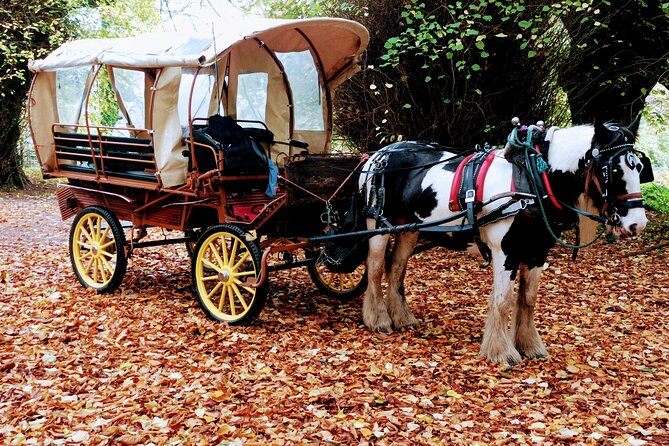 Jaunting Car Tour in Killarney National Park - Tour Highlights