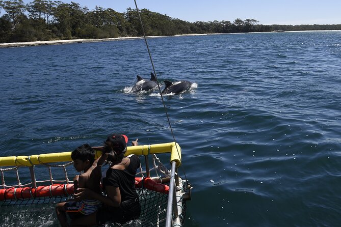 Jervis Bay Boom Netting and Dolphins Tour - Key Points