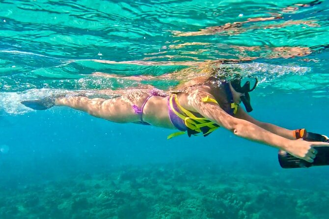 Jet Snorkeling in Turtle, Dolphin and Monk Seal Bay - Just The Basics