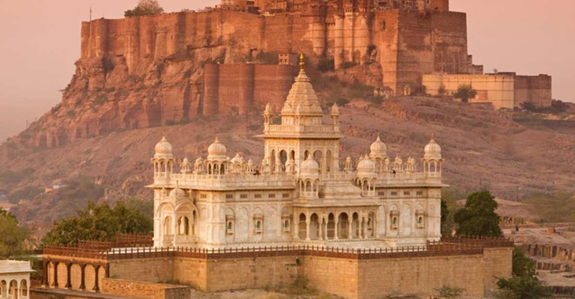 Jodhpur: Full-Day City Private Tour & Camel Safari - Key Points