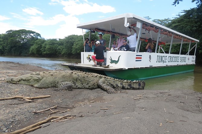 Jungle Crocodile Safari and Bird Watching Tour - Key Points