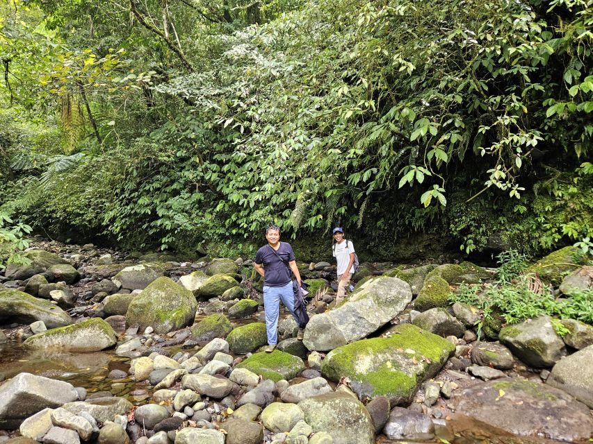 Jungle Trekking at Mt. Batukaru, Scenic Waterfall & Village - Key Points