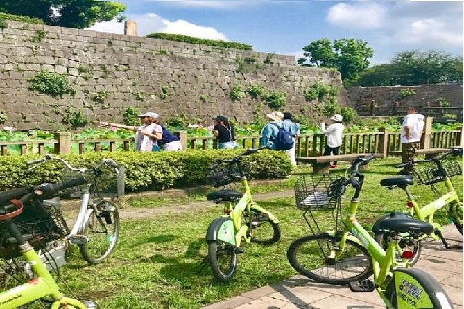 Kagoshima Bicycle Tour With Quiz - Key Points