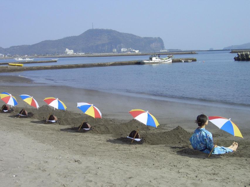 Kagoshima: Samurai History and Hot Sand Baths Private Tour - Key Points