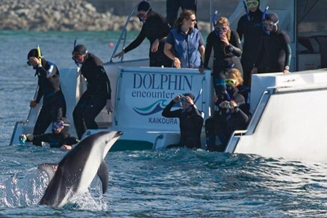 Kaikoura 12-Hour Dolphin Cruise From Christchurch (Mar ) - Key Points