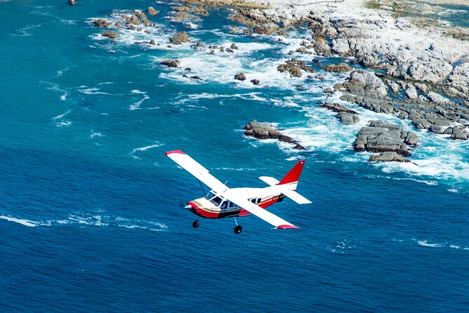 Kaikoura: Whale Watching Flight (Extended) - Key Points