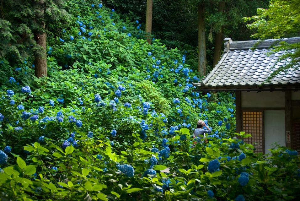 Kamakura: Great Buddha, Hase Temple, & Komachi Street Tour - Just The Basics