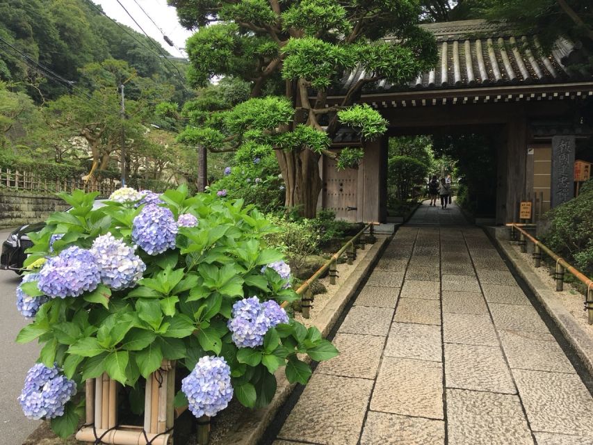 Kamakura: Private History and Heritage Tour by Rickshaw - Just The Basics