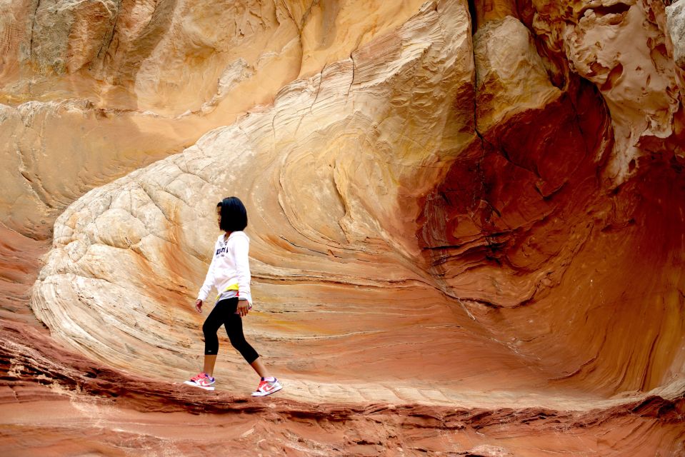 Kanab: White Pocket Hiking Tour in Vermilion Cliffs - Key Points