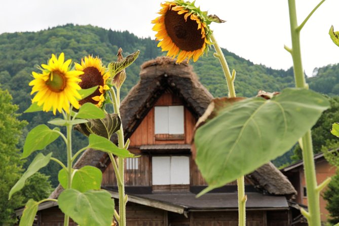 Kanazawa Takayama (One Way) Including Shirakawago (Private Tour) - Key Points