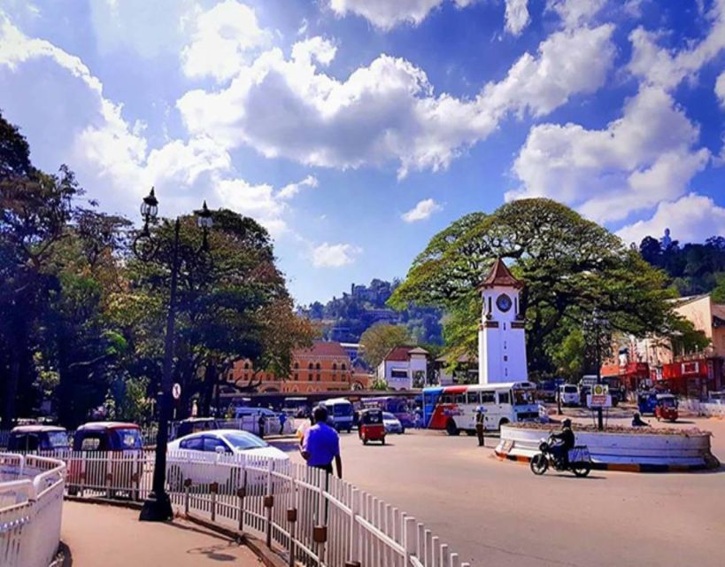 Kandy City Tour by Tuktuk With Recommended Guide - Key Points