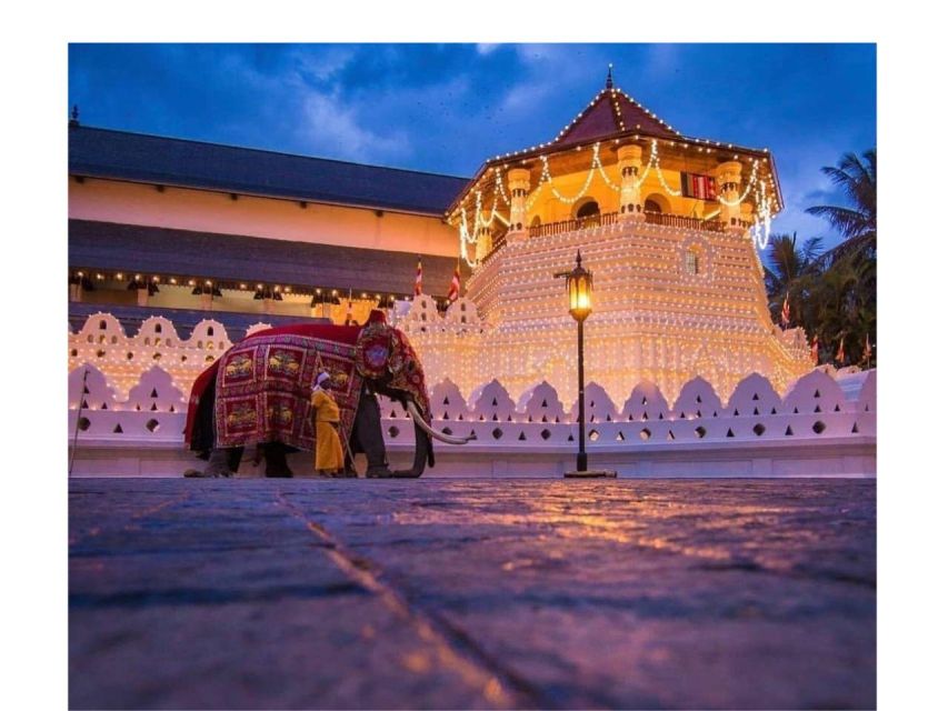 Kandy City Tuk Tuk Day Tours: Discover Cultural Wonders - Key Points