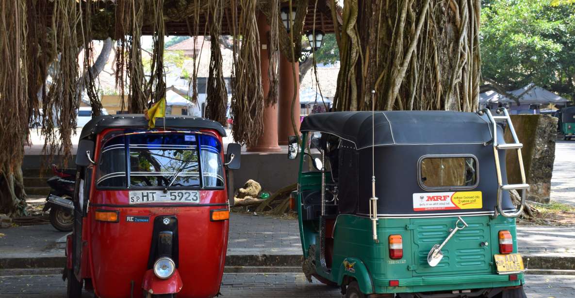 Kandy: Guided City Tour With Tuk Tuk Transfers - Key Points