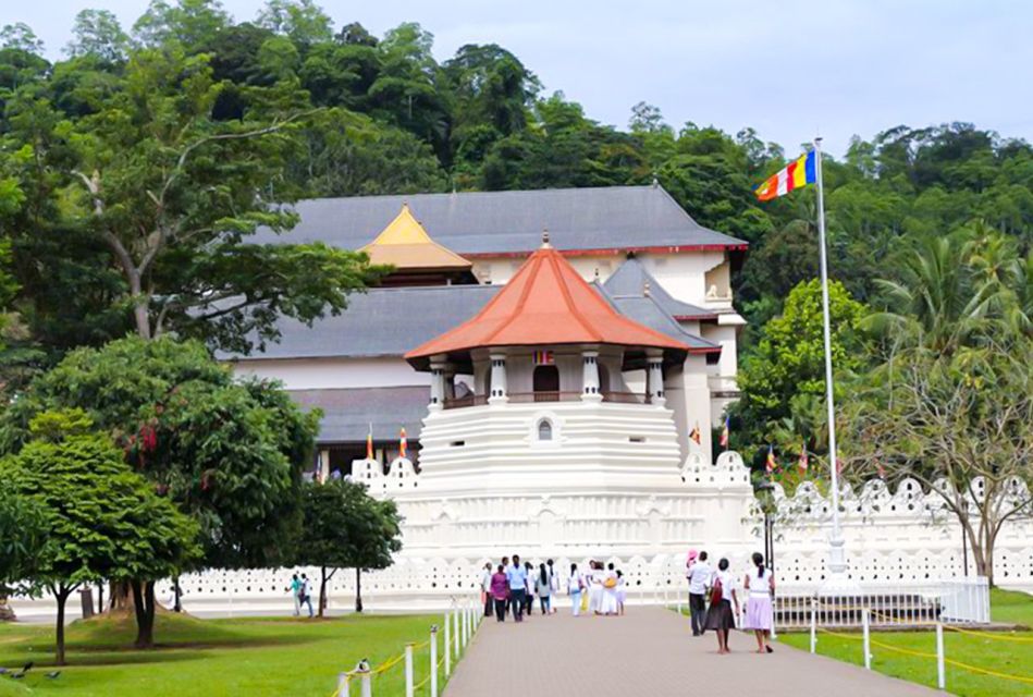 Kandy Majesty: Full-Day Feast & Explore With Lunch - Key Points