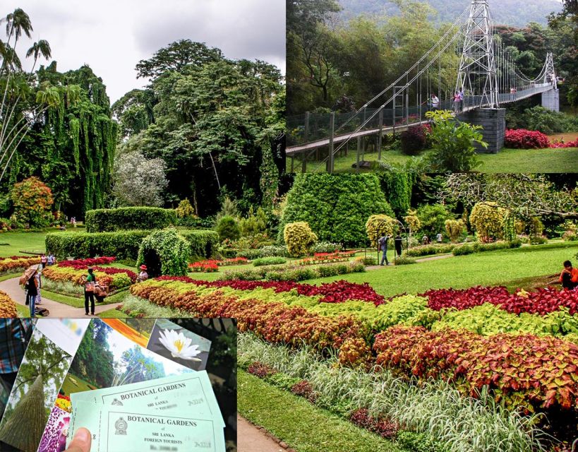 Kandy Royal Botanical Gardens Peradeniya By Tuk Sri Lanka - Key Points