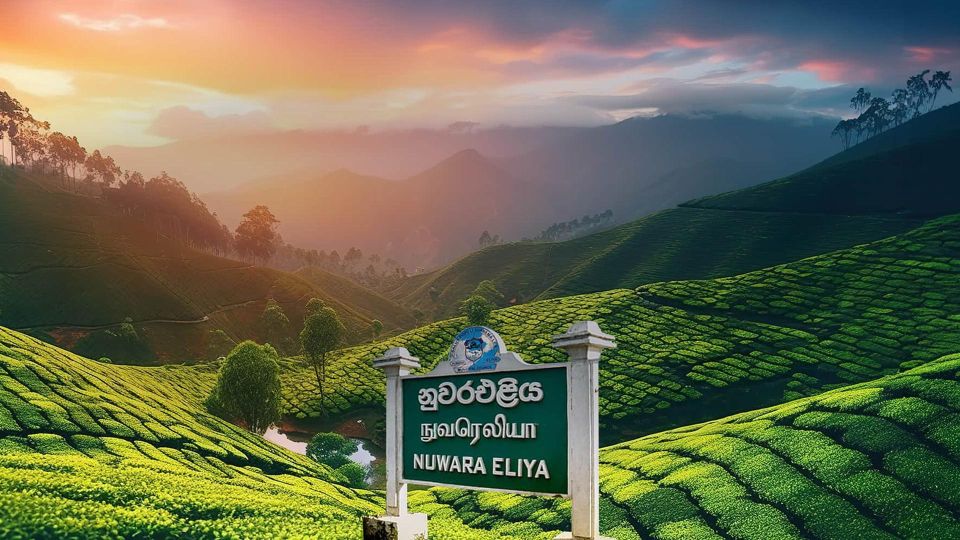 Kandy To Nuwara Eliya Day Tour By Tuk Tuk Sri Lanka - Key Points