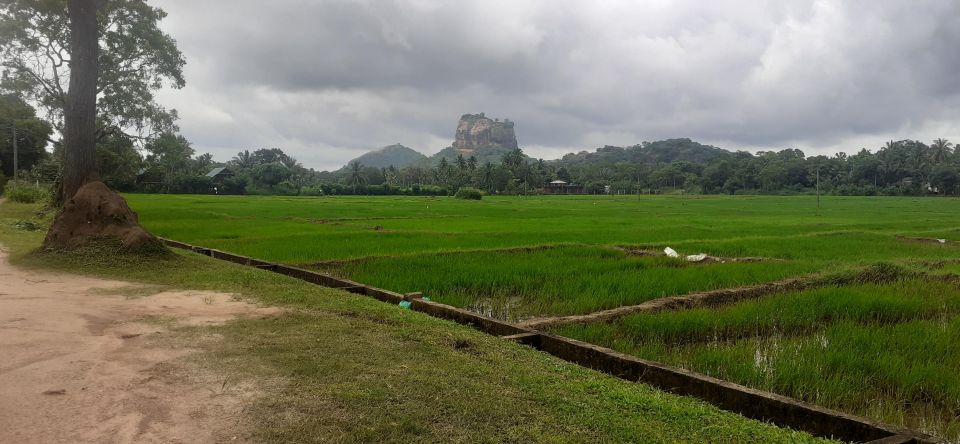 Kandy to Sigiriya Day Tour - Key Points