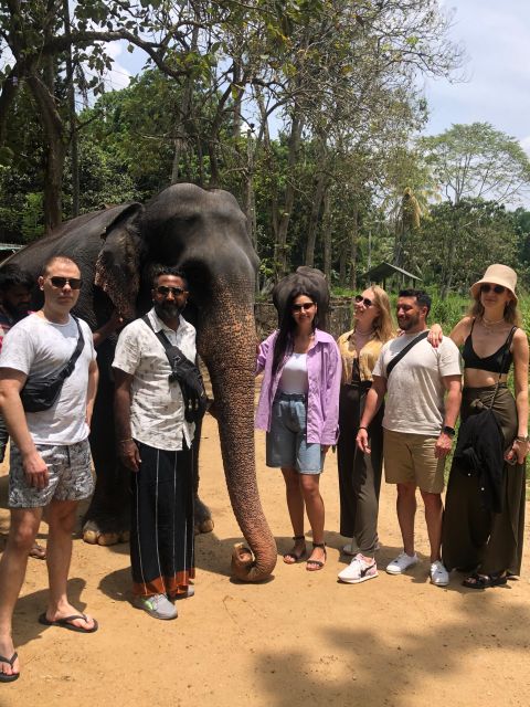 Kandy,Pinnawala and Tea Factory Full Day Tour - Key Points