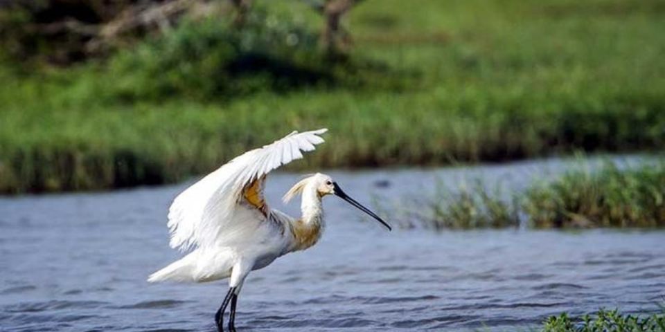 Kanneliya Forest Discovery: Guided Nature Expedition" - Key Points