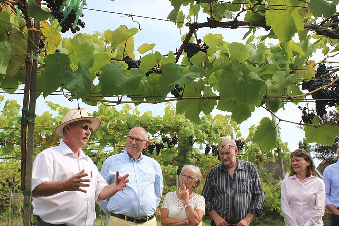 Karrebæksminde Vineyard Small-Group Guided Tour and Tastings (Mar ) - Key Points