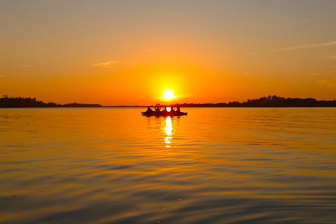 Kayak Adventure of Shell Key Preserve & Island With a Local - Key Points