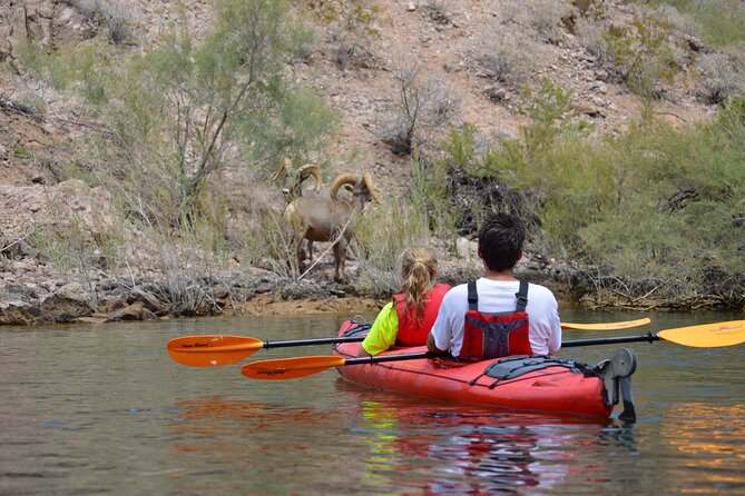 Kayak Hoover Dam With Hot Springs in Las Vegas - Booking Details