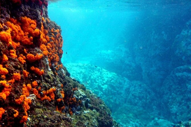 Kayak & Snorkel Tour in Cerro Gordo Natural Park, La Herradura - Just The Basics