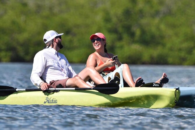 Kayak Tour Adventure Marco Island and Naples Florida - Just The Basics