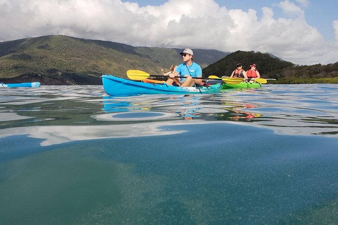 Kayak Turtle Tour From Palm Cove - Just The Basics