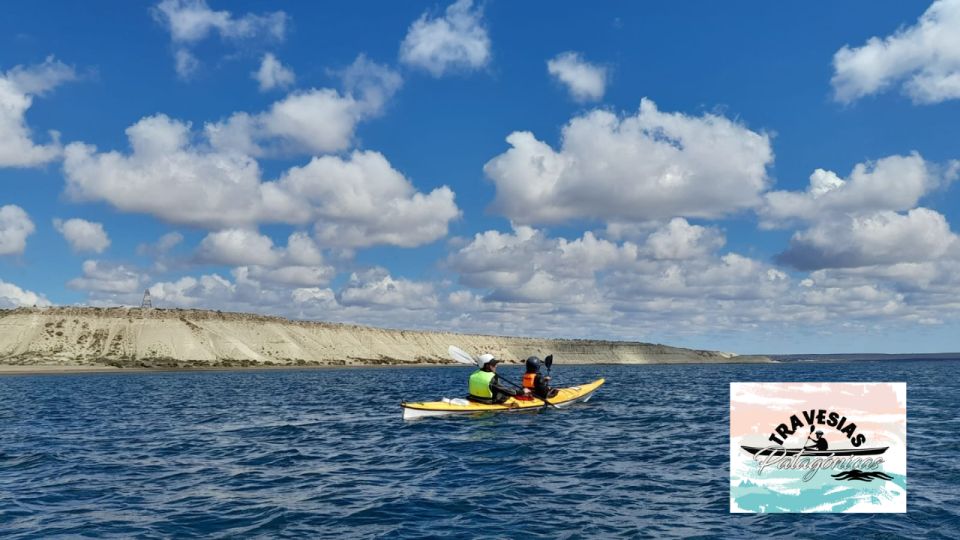 Kayaking Adventure in Puerto Madryn - Key Points