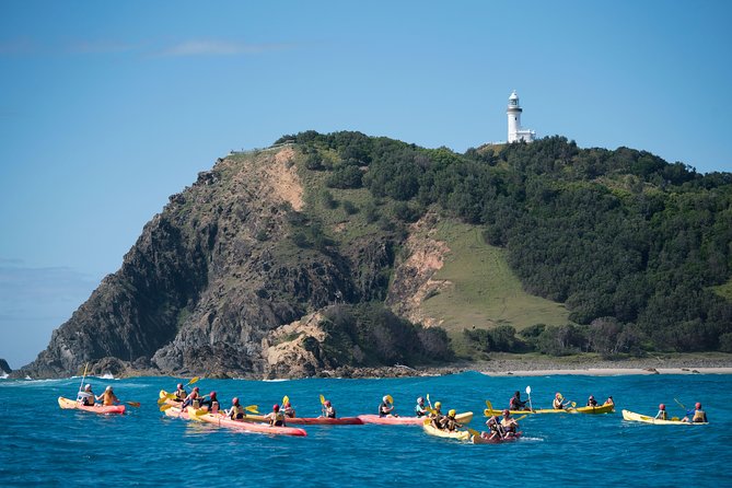 Kayaking With Dolphins in Byron Bay Guided Tour - Key Points