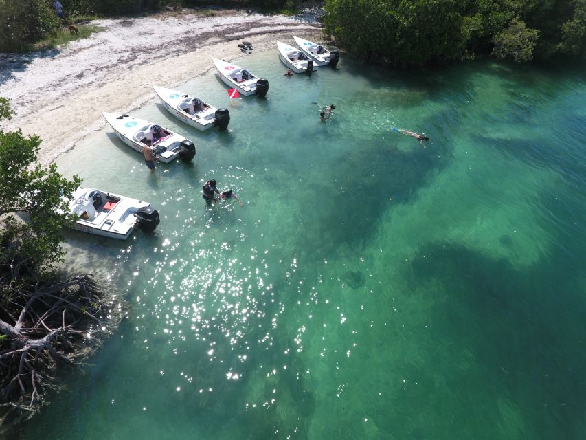 Key West: Eco Safari Tour With Snorkeling - Key Points