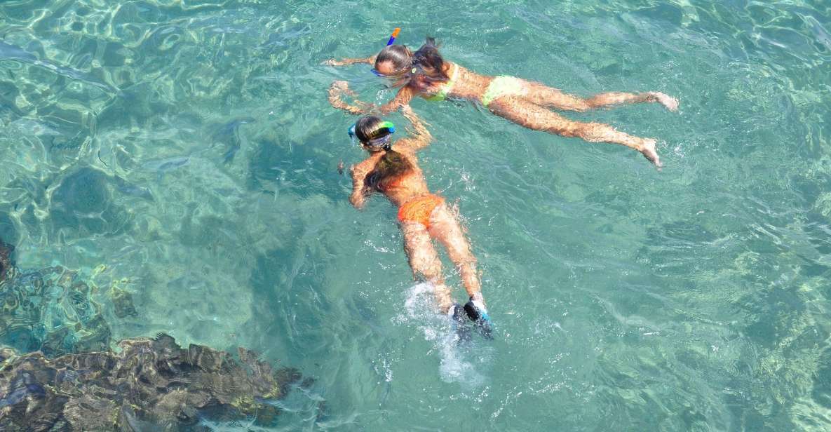Key West: Snorkeling, Sunset Dinner Cruise & Open Bar - Key Points