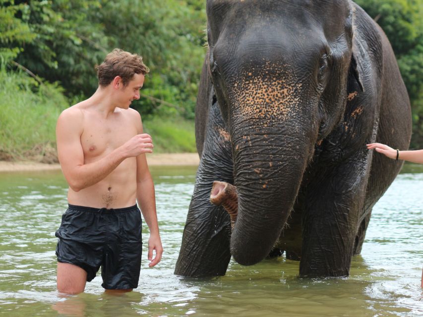 Khao Lak: Elephant Bathing and Feeding Tour - Key Points
