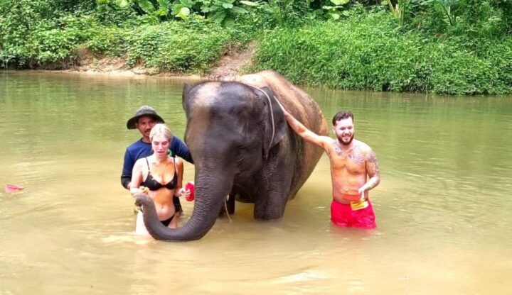 Khao Lak: Elephant Sanctuary Guided Tour - Key Points