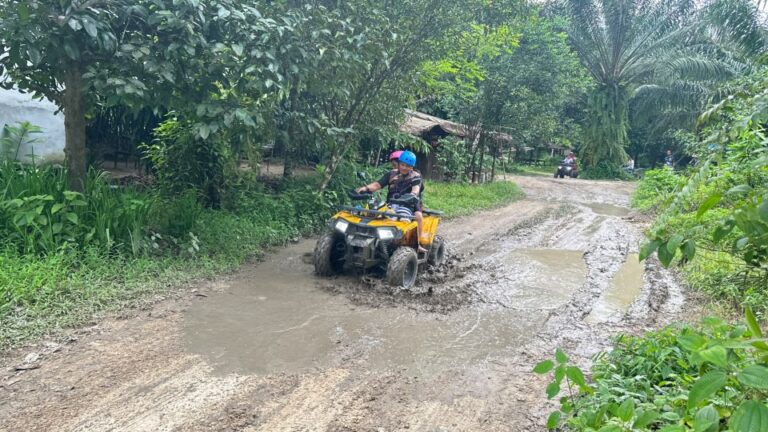 Khao Lak Wild ATV Quad Bike & Gentle Giants Experience