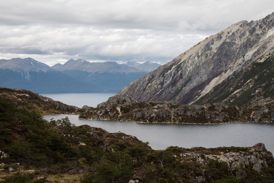 King Penguin & Tierra Del Fuego Tour - Key Points