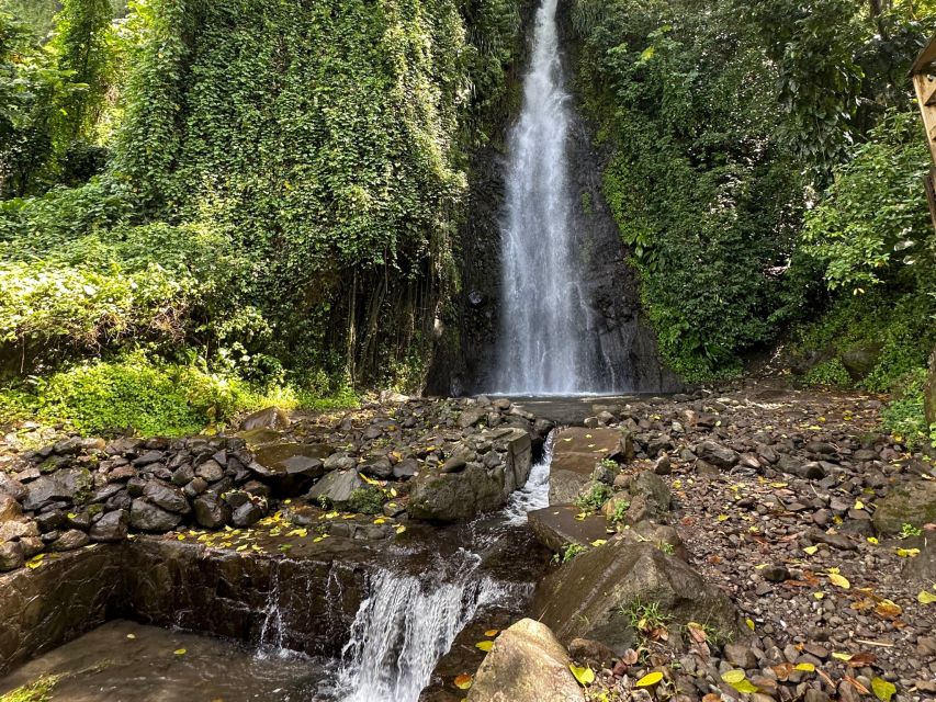 Kingstown: Cascading Dark View Falls and Beach Tour - Key Points