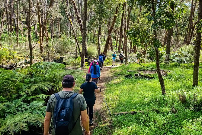 Kitty's Gorge Waterfall Hike in Australia - Key Points