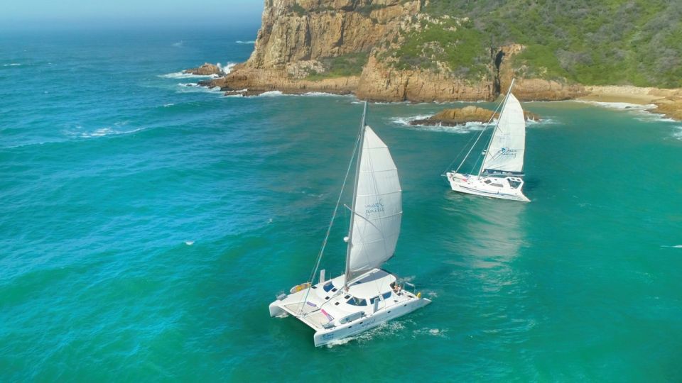 Knysna: #1 Private Scenic Cruise Aboard a Luxury Catamaran - Just The Basics