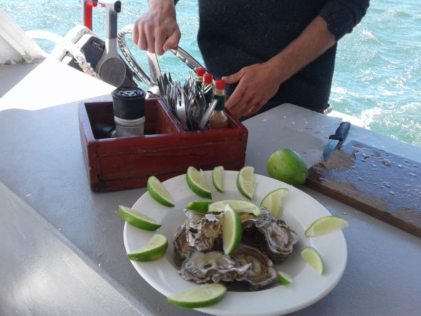 Knysna Lagoon Educational Oyster & White Wine Tasting Cruise - Key Points