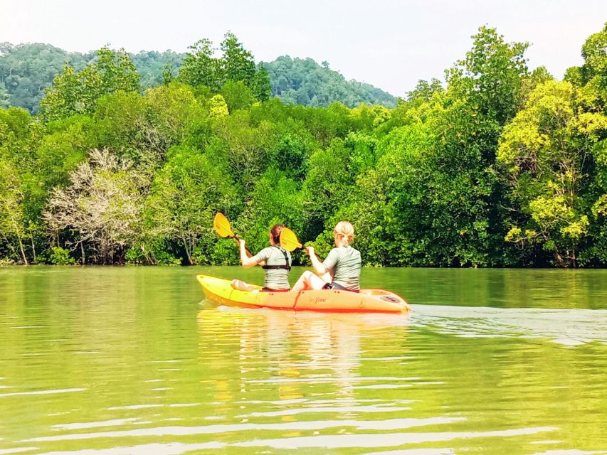 Ko Lanta: Mangrove Kayaking Half-Day Tour - Key Points