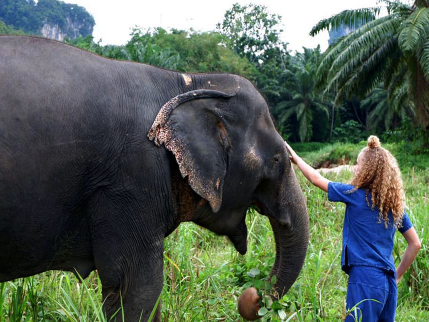 Ko Lanta Yai: Half-Day Ethical Elephant Sanctuary Tour - Key Points